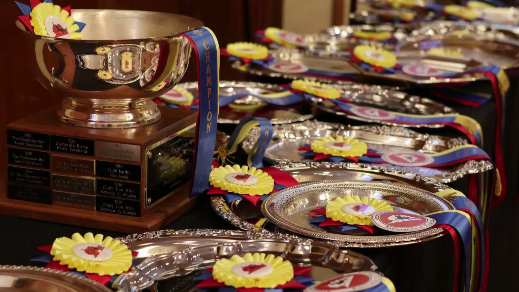 ASHAV Convention 2026